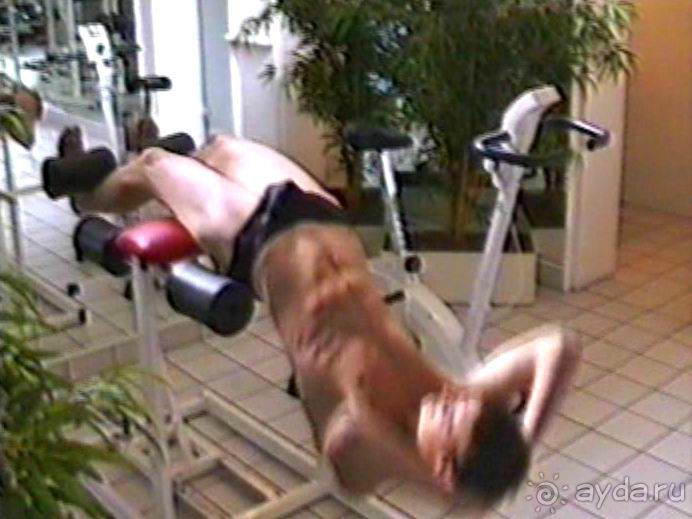 Впервые на машине в Германию с овчаркой: Киркхайм и Рикельсхайм