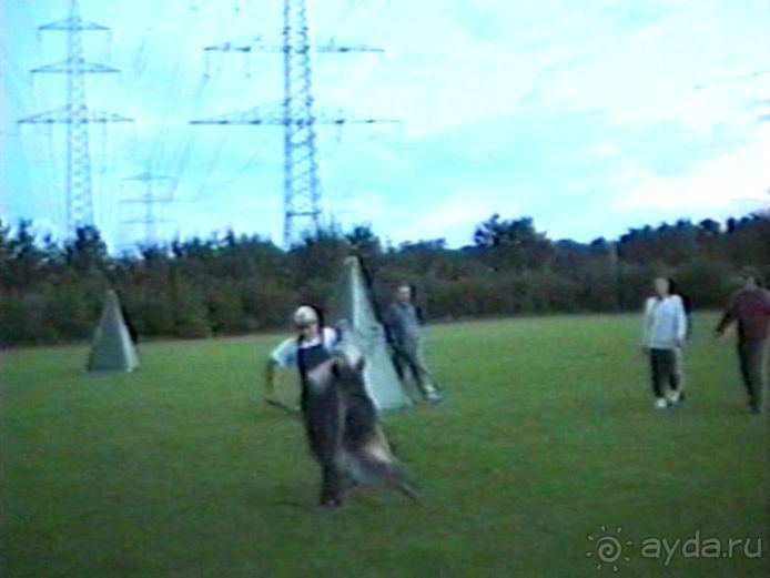 Впервые на машине в Германию с овчаркой: Киркхайм и Рикельсхайм