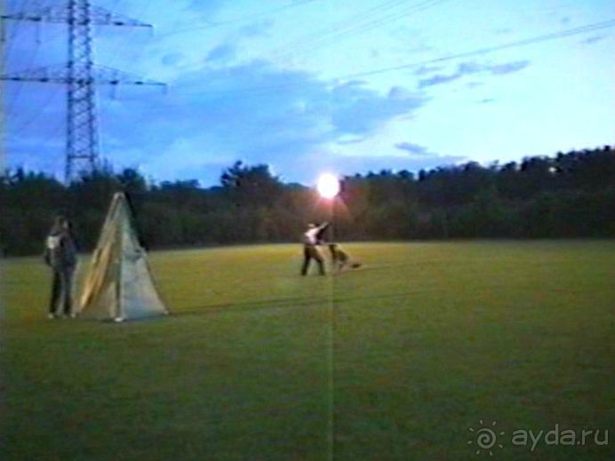 Впервые на машине в Германию с овчаркой: Киркхайм и Рикельсхайм