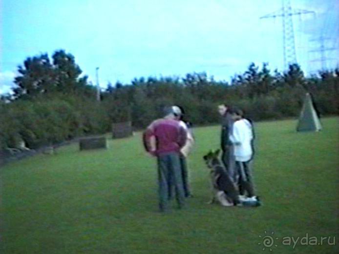 Впервые на машине в Германию с овчаркой: Киркхайм и Рикельсхайм