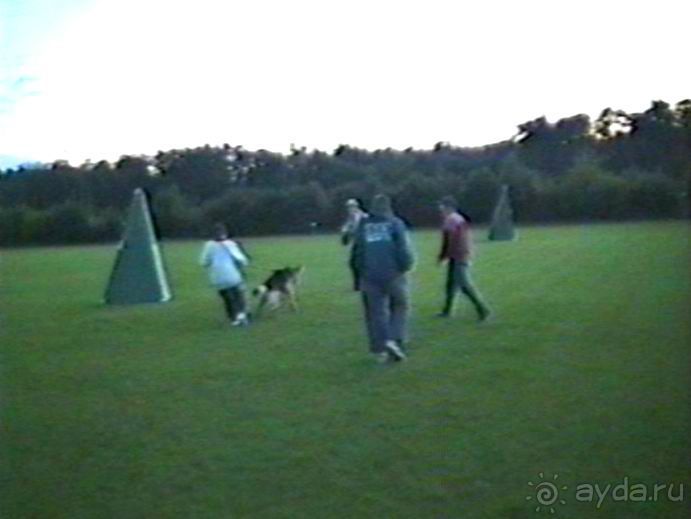 Впервые на машине в Германию с овчаркой: Киркхайм и Рикельсхайм