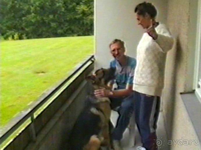 Впервые на машине в Германию с овчаркой: Киркхайм и Рикельсхайм