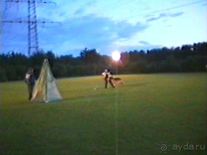 Впервые на машине в Германию с овчаркой: Киркхайм и Рикельсхайм