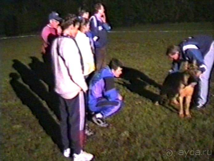 Впервые на машине в Германию с овчаркой: Киркхайм и Рикельсхайм