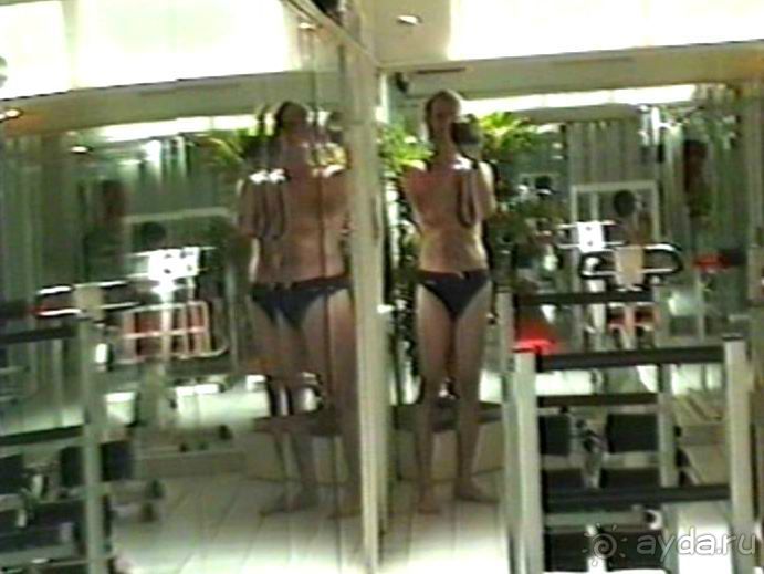 Впервые на машине в Германию с овчаркой: Киркхайм и Рикельсхайм