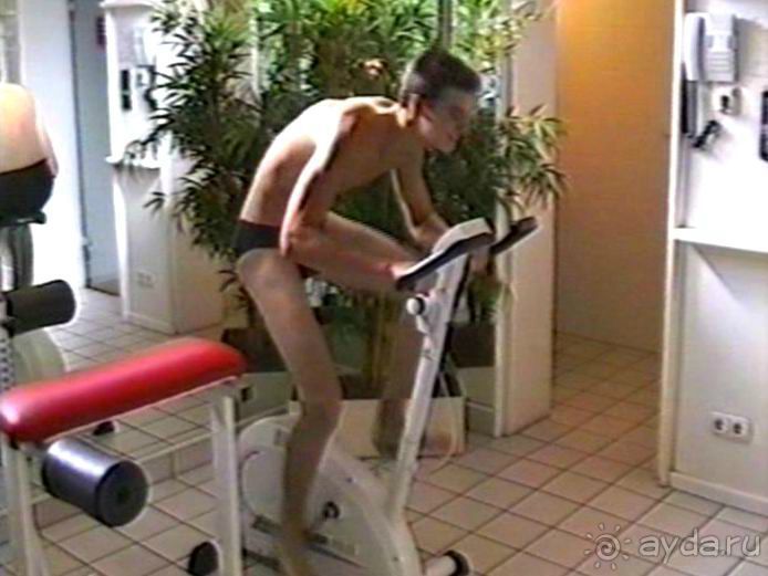 Впервые на машине в Германию с овчаркой: Киркхайм и Рикельсхайм