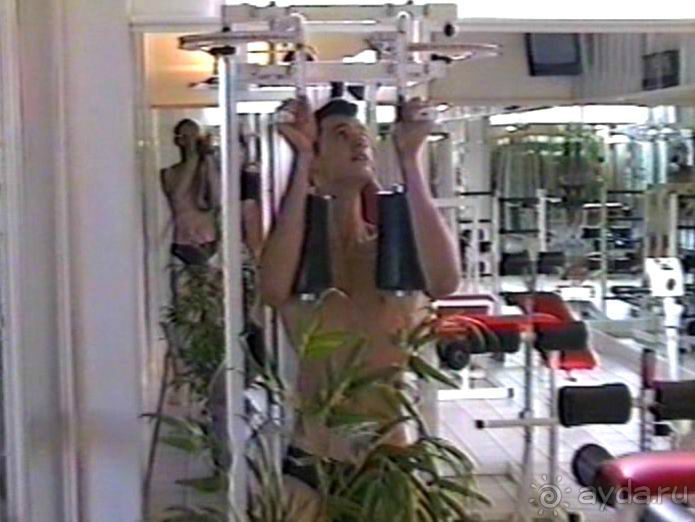 Впервые на машине в Германию с овчаркой: Киркхайм и Рикельсхайм