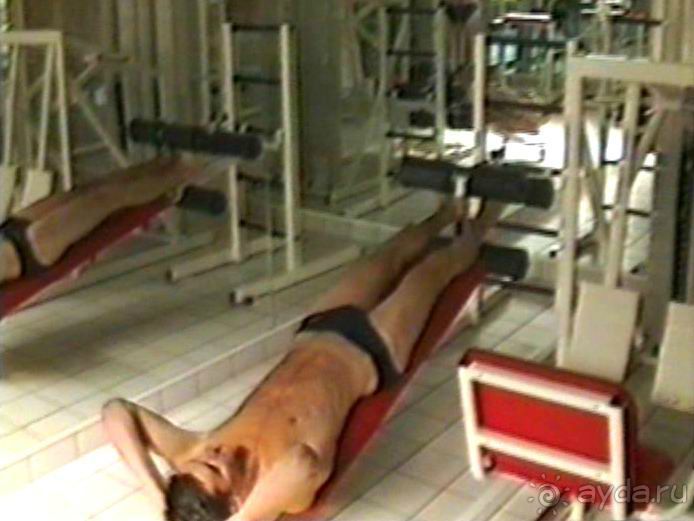 Впервые на машине в Германию с овчаркой: Киркхайм и Рикельсхайм