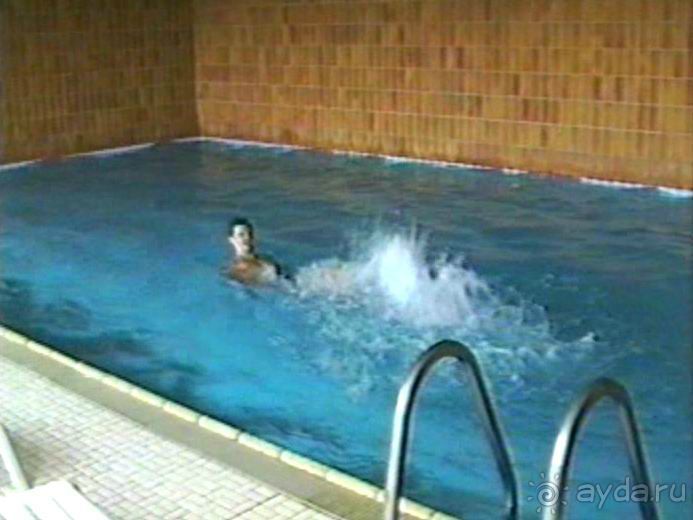 Впервые на машине в Германию с овчаркой: Киркхайм и Рикельсхайм