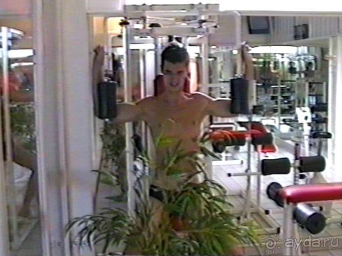 Впервые на машине в Германию с овчаркой: Киркхайм и Рикельсхайм