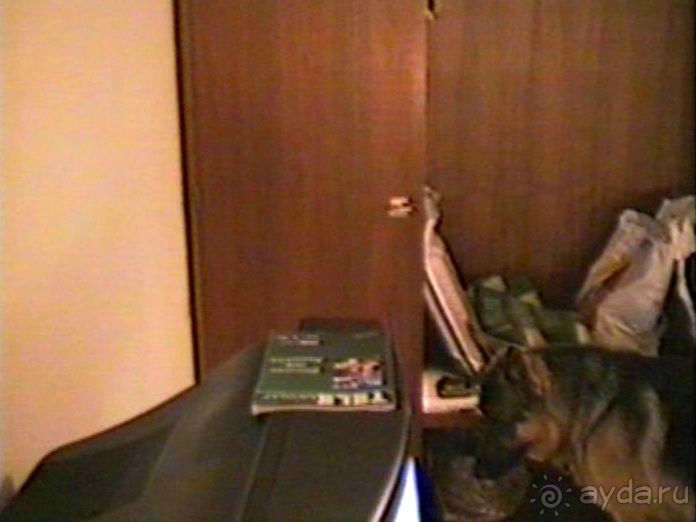 Впервые на машине в Германию с овчаркой: Киркхайм и Рикельсхайм