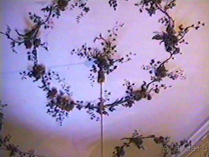 Впервые в Потсдаме