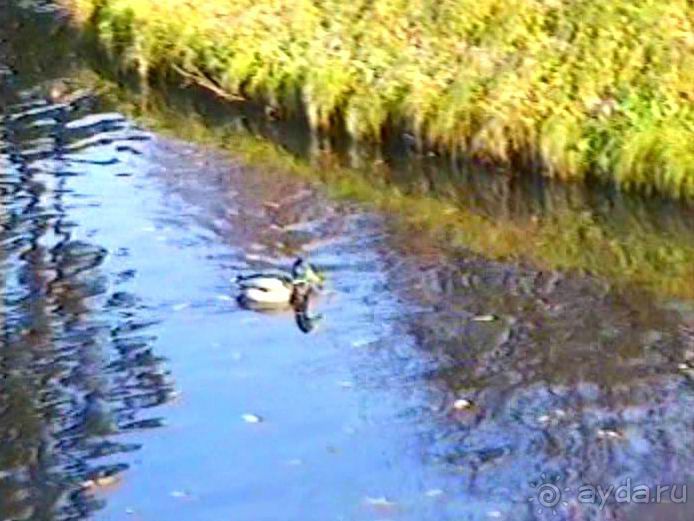 Впервые в Потсдаме