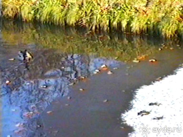 Впервые в Потсдаме