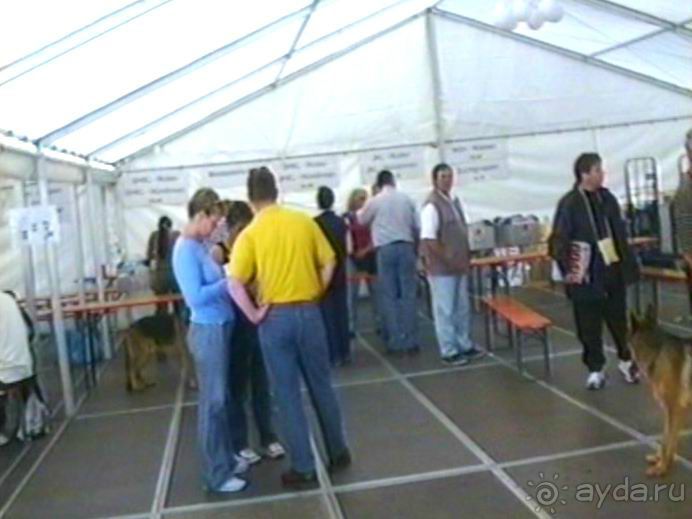 От польского Тожима до Ульма и Инделхаузена