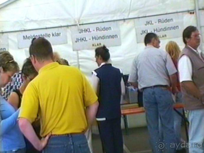 От польского Тожима до Ульма и Инделхаузена