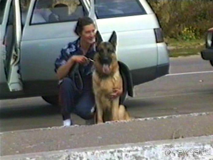 Впервые на машине в Германию с овчаркой: Белоруссия и Варшавский мост