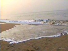 Роттердам, Гаага, Схевенинген, Хук ван Холланд и Влардинген