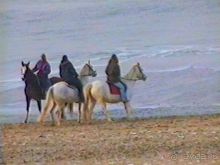 Роттердам, Гаага, Схевенинген, Хук ван Холланд и Влардинген