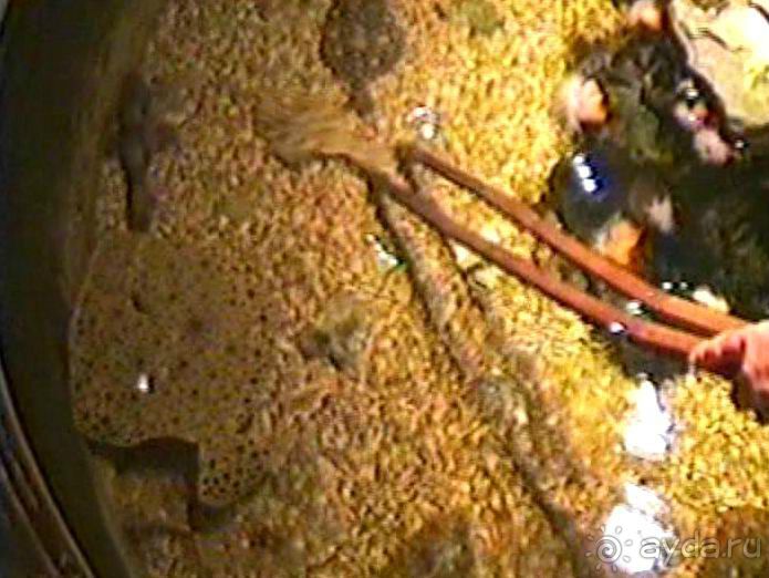 Роттердам, Гаага, Схевенинген, Хук ван Холланд и Влардинген