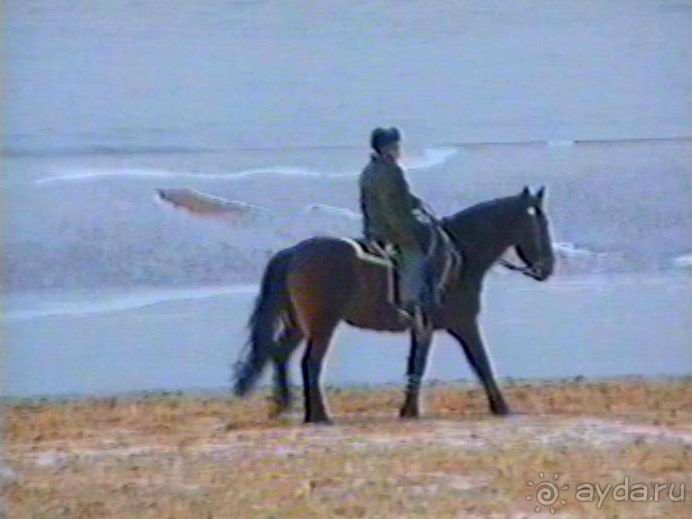 Роттердам, Гаага, Схевенинген, Хук ван Холланд и Влардинген