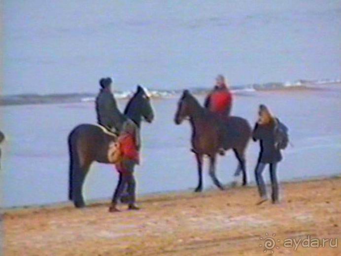 Роттердам, Гаага, Схевенинген, Хук ван Холланд и Влардинген