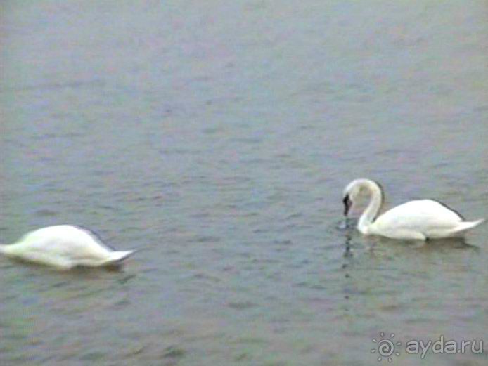 Роттердам, Гаага, Схевенинген, Хук ван Холланд и Влардинген