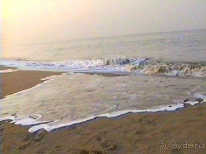 Роттердам, Гаага, Схевенинген, Хук ван Холланд и Влардинген