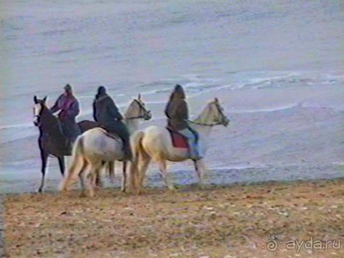 Роттердам, Гаага, Схевенинген, Хук ван Холланд и Влардинген