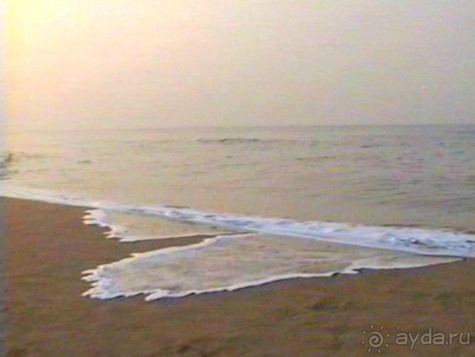 Роттердам, Гаага, Схевенинген, Хук ван Холланд и Влардинген