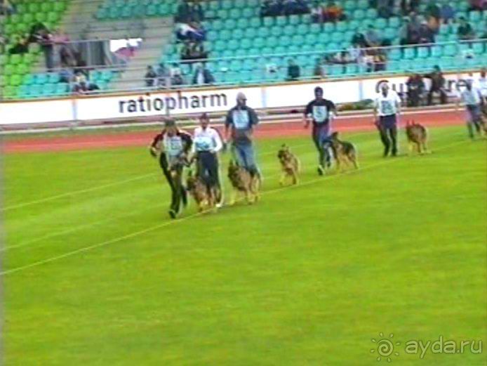 Альбом отзыва "Зигер в Ульме"