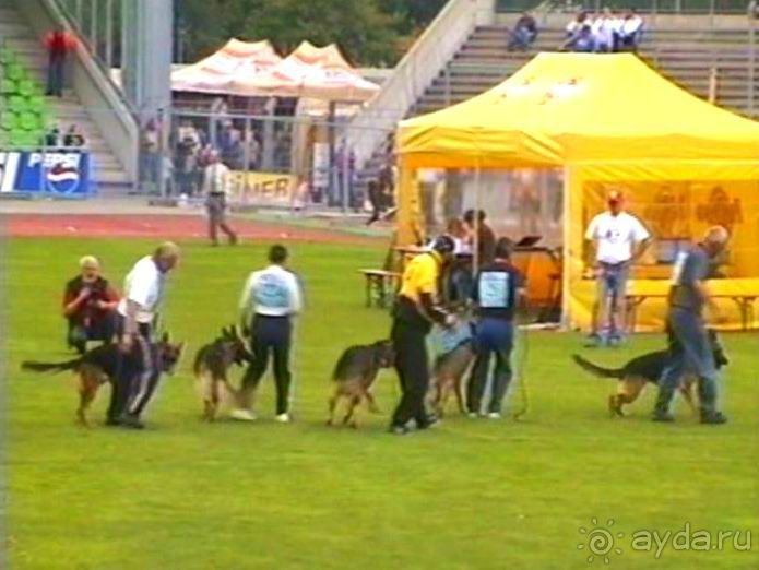 Альбом отзыва "Зигер в Ульме"