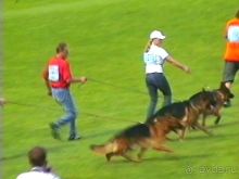 Альбом отзыва "Зигер в Ульме"