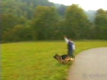 Зигер в Ульме