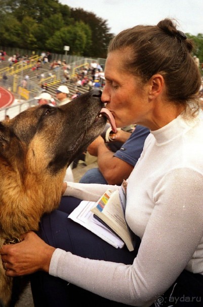 Зигер в Ульме