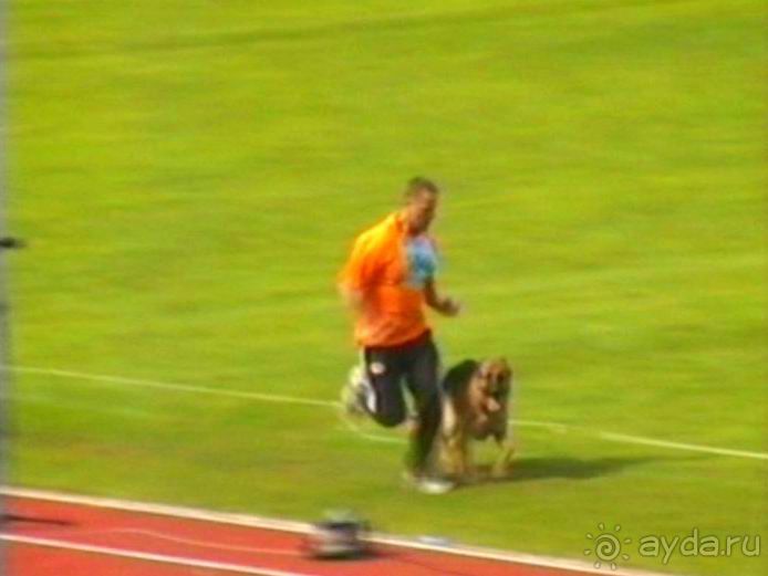 Альбом отзыва "Зигер в Ульме"