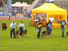 Альбом отзыва "Зигер в Ульме"