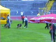 Альбом отзыва "Зигер в Ульме"