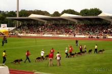 Зигер в Ульме