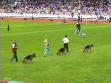 Альбом отзыва "Зигер в Ульме"