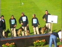 Альбом отзыва "Зигер в Ульме"