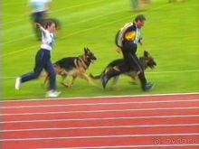 Альбом отзыва "Зигер в Ульме"