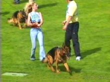 Альбом отзыва "Зигер в Ульме"