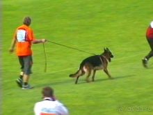 Альбом отзыва "Зигер в Ульме"