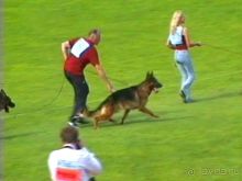 Альбом отзыва "Зигер в Ульме"