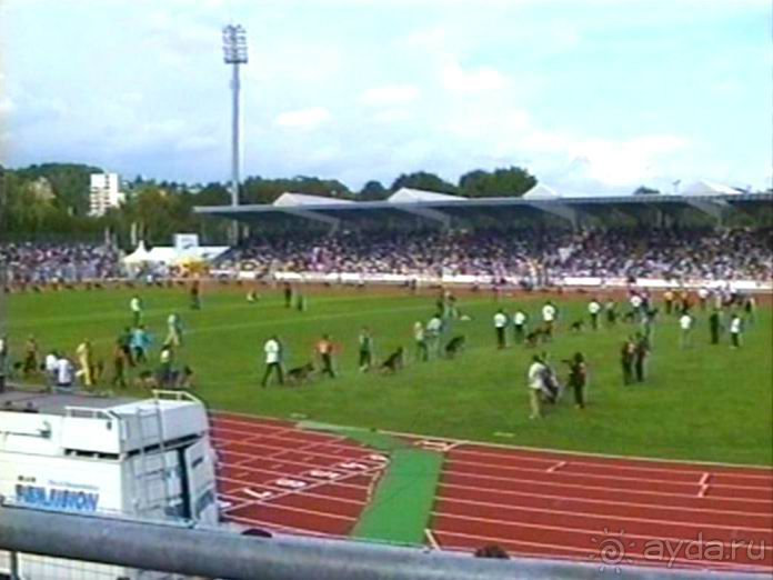 Альбом отзыва "Зигер в Ульме"