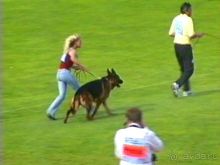 Альбом отзыва "Зигер в Ульме"