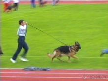 Альбом отзыва "Зигер в Ульме"