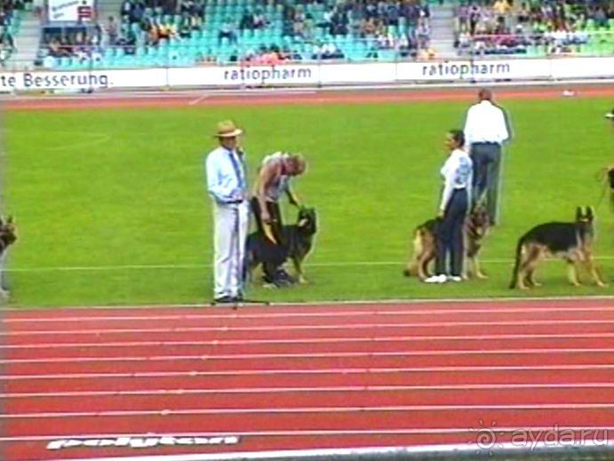 Альбом отзыва "Зигер в Ульме"