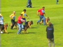 Альбом отзыва "Зигер в Ульме"